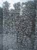 DC467 Vietnam War Memorial wall * 1944 x 2592 * (1.44MB)